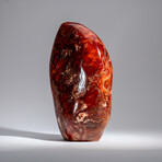 Genuine Polished Carnelian Freeform // 17.5 lb