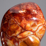 Genuine Polished Carnelian Freeform // 17.5 lb