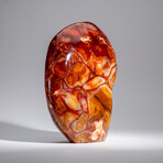 Genuine Polished Carnelian Freeform // 17.5 lb