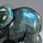 Genuine Polished Labradorite Elephant // 0.5 lb