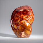 Genuine Polished Carnelian Freeform // 17.5 lb