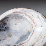 Genuine Polished Ocean Jasper Bowl V.1 // 5lb