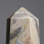 Genuine Polished Polychrome Jasper Point