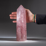 Genuine Polished Rose Quartz Point // 5 lb