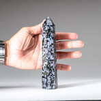 Genuine Polished Indigo Gabbro Point // 400g