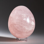 Genuine Polished Rose Quartz Egg & Acrylic Display Stand // 1.5 lb