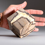 Genuine Polished Septarian Cube // 2 lb