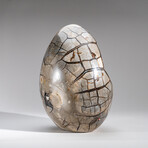 Genuine Polished Septarian Egg & Acrylic Display Stand // 30 lb