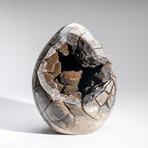 Genuine Polished Septarian Egg & Acrylic Display Stand // 30 lb