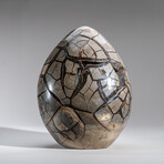 Genuine Polished Septarian Egg & Acrylic Display Stand // 30 lb