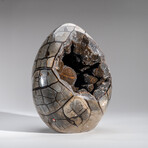 Genuine Polished Septarian Egg & Acrylic Display Stand // 30 lb