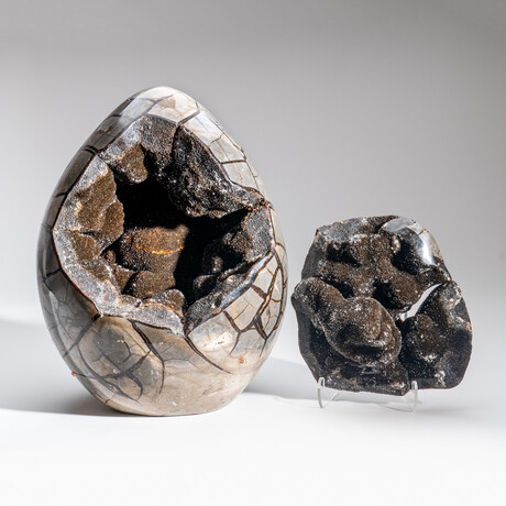 Genuine Polished Septarian Egg & Acrylic Display Stand // 30 lb