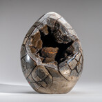 Genuine Polished Septarian Egg & Acrylic Display Stand // 30 lb