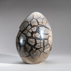 Genuine Polished Septarian Egg & Acrylic Display Stand // 30 lb