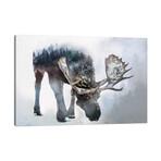 Nature Moose by Paul Haag (12"H x 18"W x 1.5"D)