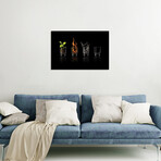 Elements... by Jose María Frutos (12"H x 18"W x 1.5"D)