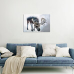 Nature Moose by Paul Haag (12"H x 18"W x 1.5"D)