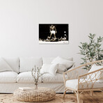Muhammad Ali Vs. Sonny Liston, 1965 by Muhammad Ali Enterprises (32"H x 48"W x 1.5"D)