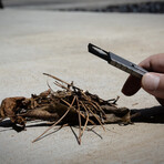 Neo-Spec Pocket Magnifier // Black