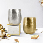 Titanium Double Walled Coffee Cup // Silver