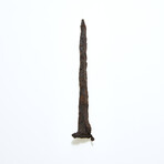 Large Roman "Crucifixion Spike" type nail // Early 1st century AD