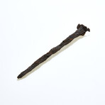 Large Roman "Crucifixion Spike" type nail // Early 1st century AD
