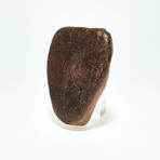 Spooky 1920's-1930's Wooden Face