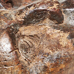 Spooky 1920's-1930's Wooden Face