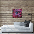 The Rosette Nebula by Robert Gendler (12"H x 12"W x 1.5"D)