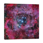 The Rosette Nebula by Robert Gendler (12"H x 12"W x 1.5"D)