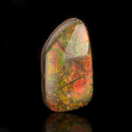 Ammolite Cabochon // 6.24g