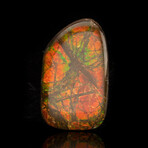 Ammolite Cabochon // 6.24g