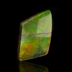 Ammolite Cabochon // 21.42g