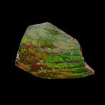 Ammolite Cabochon // 20.92g