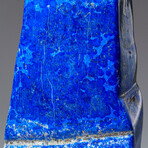 Genuine Polished Lapis Lazuli Freeform // 6.5 lb