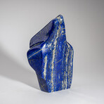 Genuine Polished Lapis Lazuli Freeform // 2.5 lb