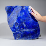 Genuine Polished Lapis Lazuli Freeform // 33.2 lb