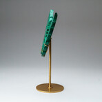Genuine Polished Malachite Butterfly Wings on Custom Stand // 2 lb
