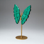 Genuine Polished Malachite Butterfly Wings on Custom Stand // 2 lb