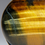 Genuine Polished Golden Tiger's Eye Palm Stone & Velvet Pouch // 65g