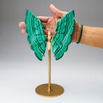 Genuine Polished Malachite Butterfly Wings on Custom Stand // 2 lb