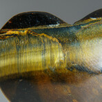 Genuine Polished Tiger's Eye Heart & Velvet Pouch // 200g