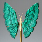 Genuine Polished Malachite Butterfly Wings on Custom Stand // 2 lb
