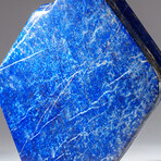 Genuine Polished Lapis Lazuli Freeform // 4.5 lb