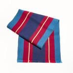 Halcene University Scarf // Teal + Red + Gold Multistripe