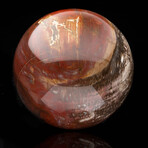 Hand-Carved Petrified Wood Sphere // 3.20 Lb.