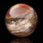 Hand-Carved Petrified Wood Sphere // 3.20 Lb.