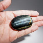 Genuine Polished Blue Tiger's Eye Palm Stone With Velvet Pouch