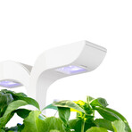 EXKY® Indoor Garden // Classic