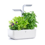 Véritable® Indoor Garden // Smart